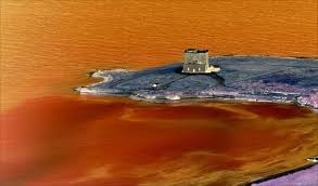 Torre Guaceto, oasi naturale