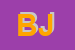 Logo di BAUR JOHANNES