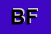 Logo di BONVECCHI FERNANDO