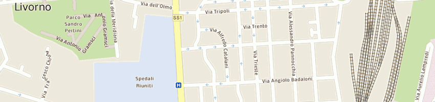 Mappa della impresa macelleria ciardi pier luigi a LIVORNO