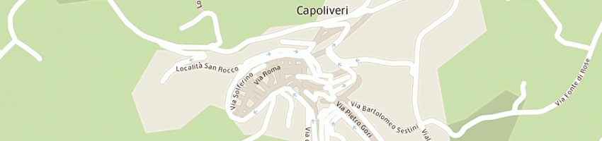 Mappa della impresa bar rodriguez di rodriguez r e c snc a CAPOLIVERI