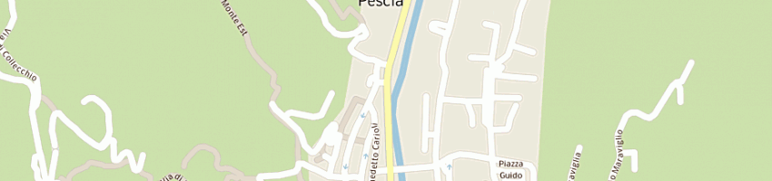 Mappa della impresa pega ascensori e impianti srl a PESCIA