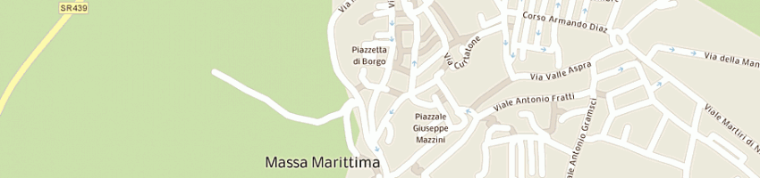 Mappa della impresa amatur srl a MASSA MARITTIMA