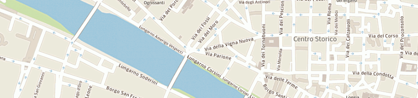 Mappa della impresa mister nic srl a FIRENZE