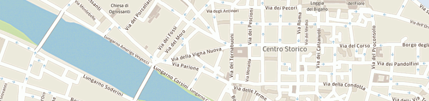 Mappa della impresa dgs spa a FIRENZE