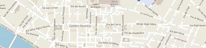 Mappa della impresa nuovo corso srl a FIRENZE