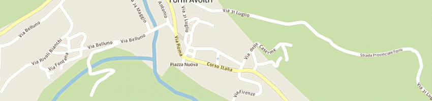 Mappa della impresa municipio a FORNI AVOLTRI