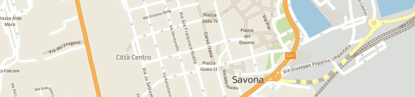 Mappa della impresa brunetti renzo a SAVONA