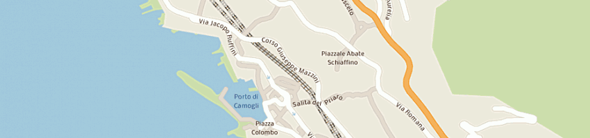 Mappa della impresa villa san fortunato srl a CAMOGLI