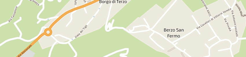 Mappa della impresa consoli federico a BERZO SAN FERMO