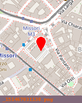 posizione della DRIMO SRL