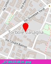 posizione della TONINELLI FRATELLI