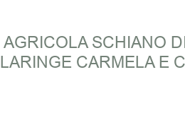 AGRICOLA SCHIANO DI LARINGE CARMELA e C BACOLI